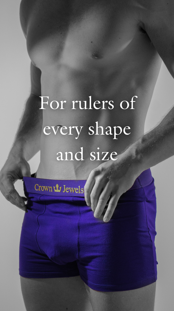 Crown Jewels Men's Boxer Briefs In Royal Purple HRH Crown Jewels