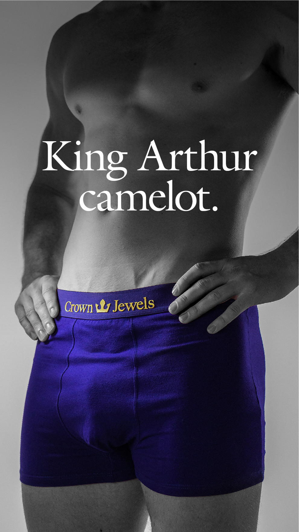 Crown Jewels Men's Boxer Briefs In Royal Purple HRH Crown Jewels